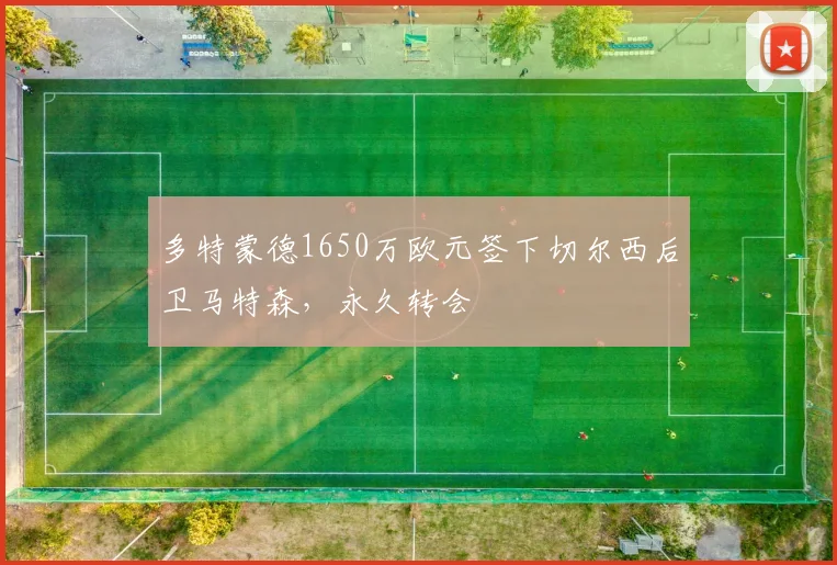 多特蒙德1650万欧元签下切尔西后卫马特森，永久转会